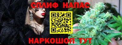 стафф Донской