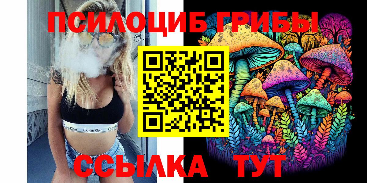 Галлюциногенные грибы Psilocybine cubensis Москва